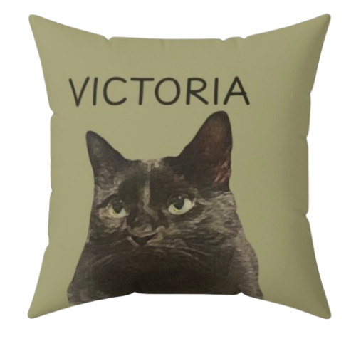 custom pillow
